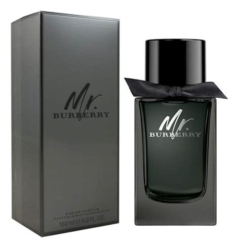 mr burberry opinioni|mr burberry eau de parfum.